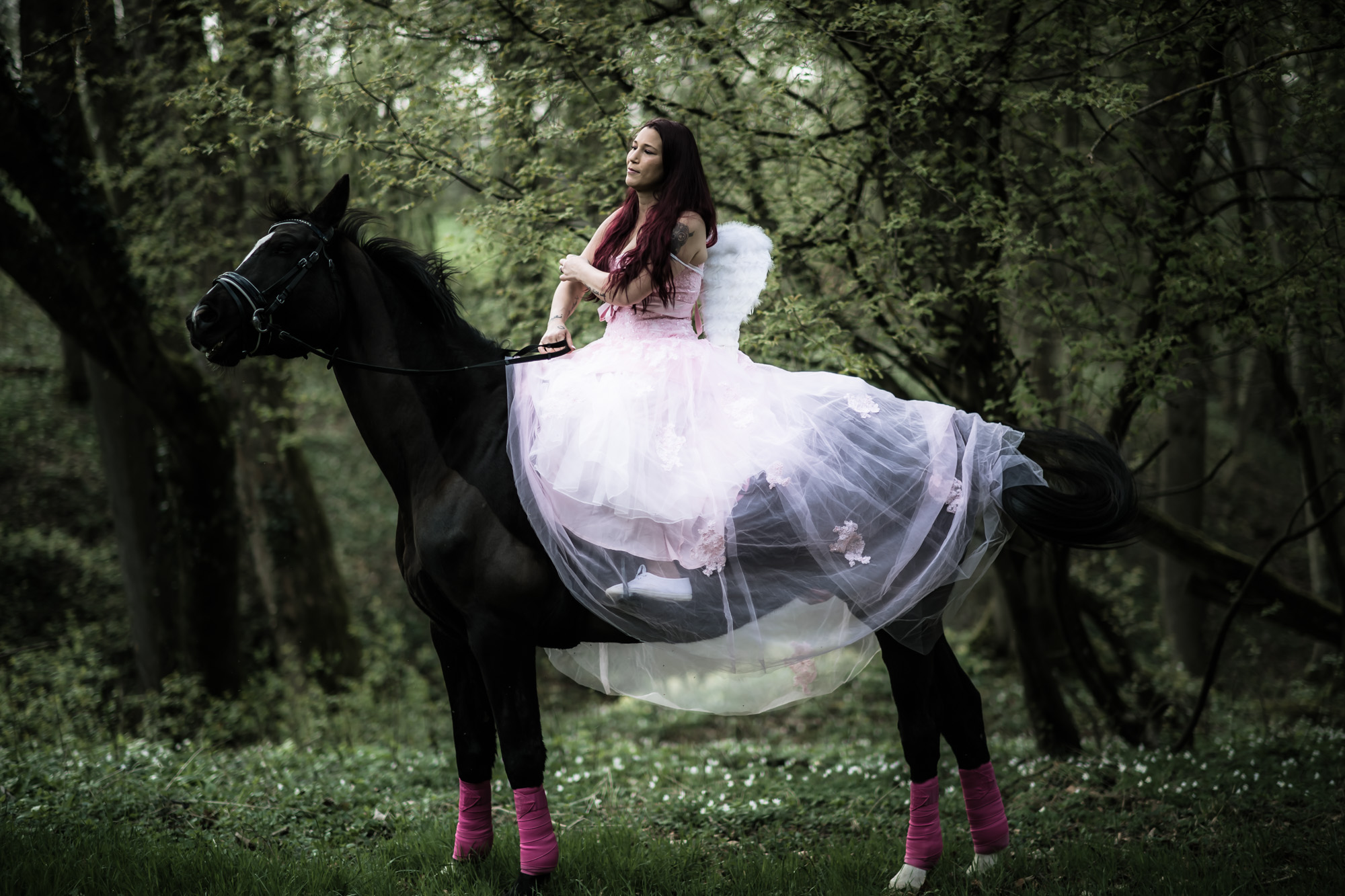 Reiterin%20auf%20Pferd%20im%20Wald