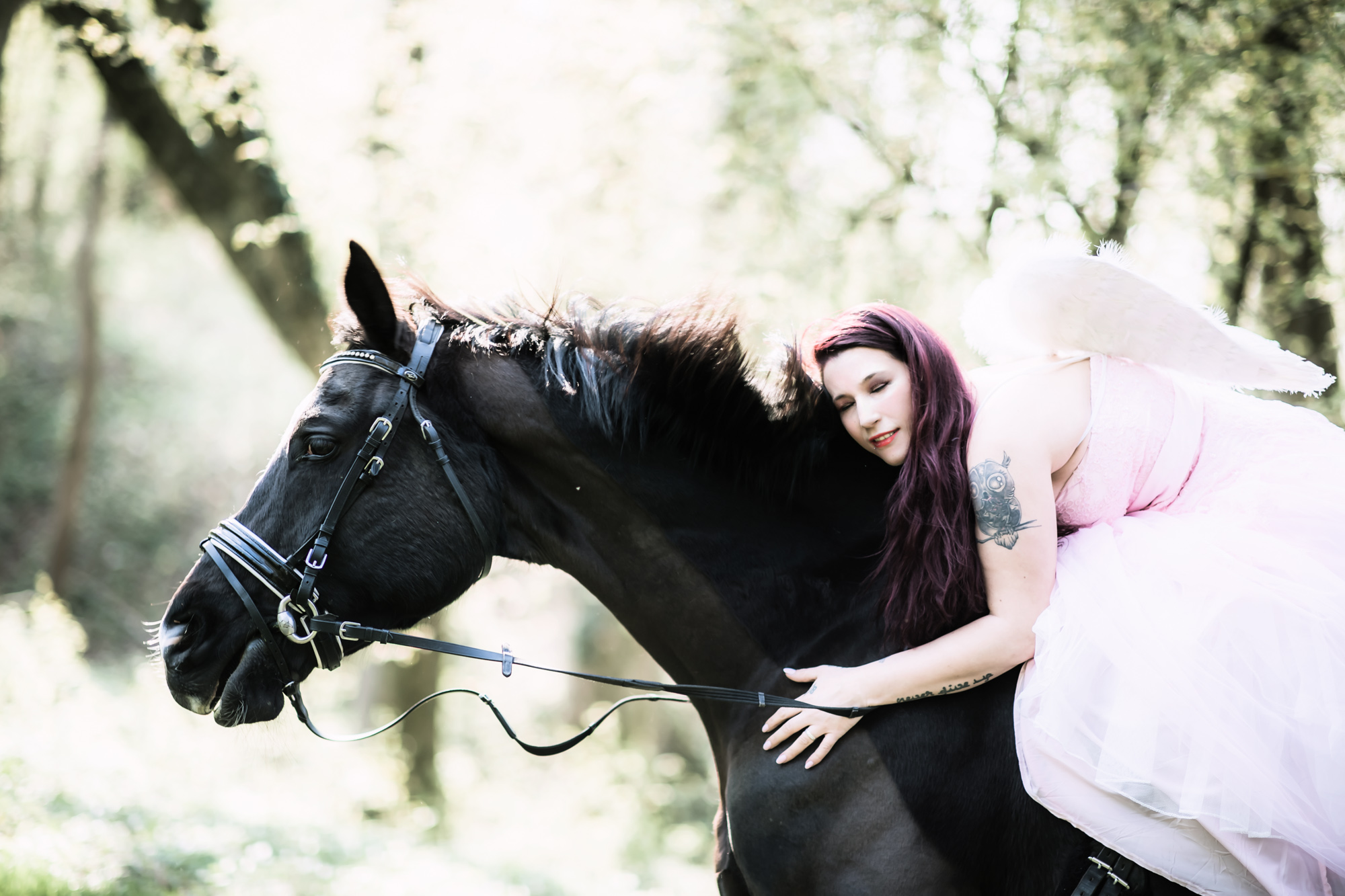 Tierfotografie%20im%20Wald